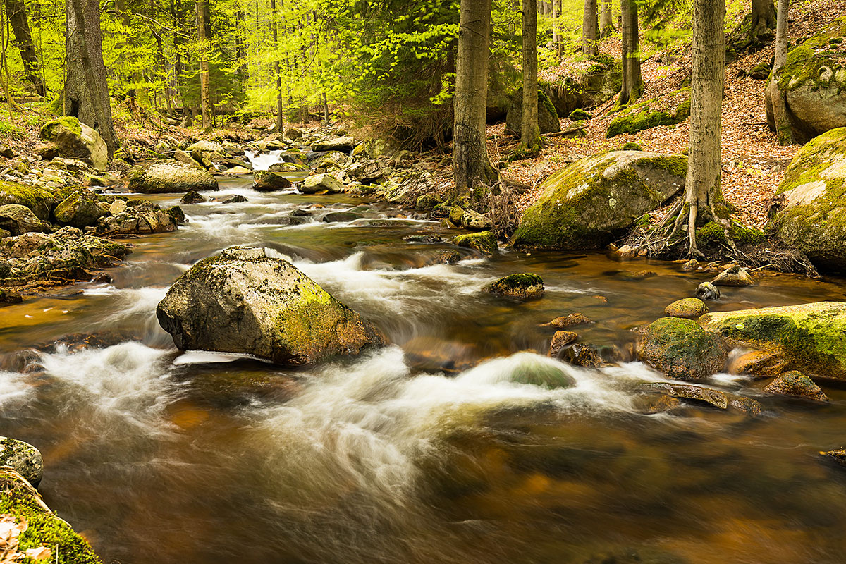 Germany - Harz Mountains - Ilse Valley