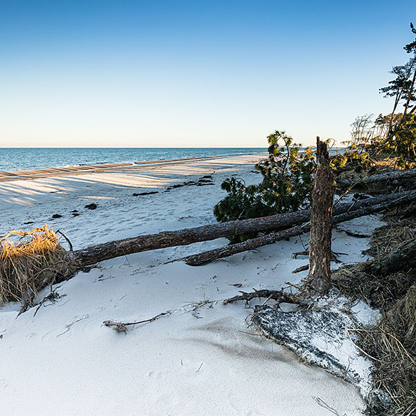 Darßer Weststrand