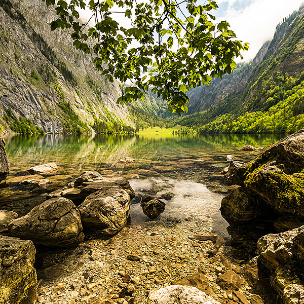 Obersee