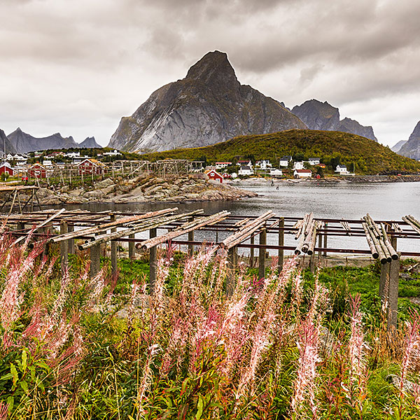 Reine & Hamnøy