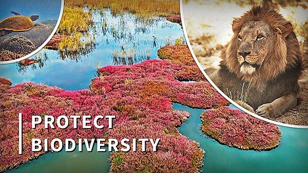 PROTECT BIODIVERSITY